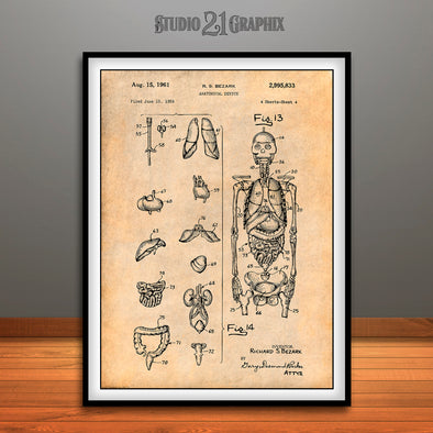 1959 Anatomical Skeleton Patent Print Antique Paper
