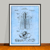1909 Anatomical Skeleton Patent Print 2 - UNFRAMED