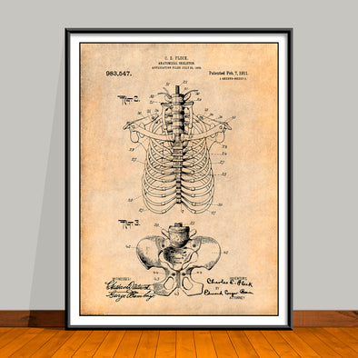 1909 Anatomical Skeleton Patent Print 2 - UNFRAMED