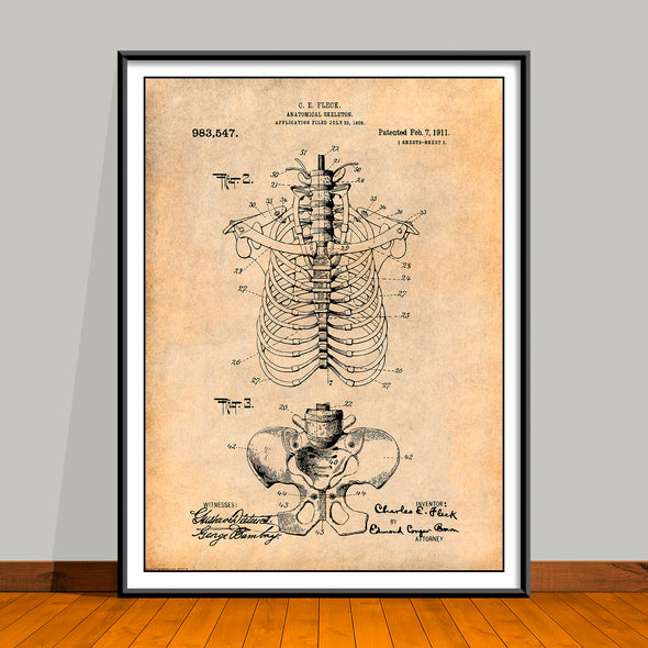 1909 Anatomical Skeleton Patent Print 2 - UNFRAMED