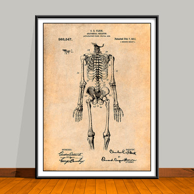 1909 Anatomical Skeleton Patent Print - UNFRAMED