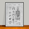 1959 Anatomical Skeleton Patent Print - UNFRAMED