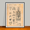 1959 Anatomical Skeleton Patent Print - UNFRAMED