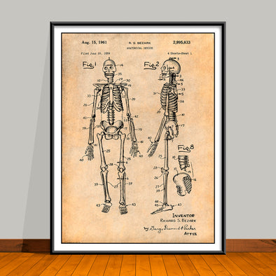 1959 Anatomical Skeleton Patent Print - UNFRAMED