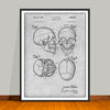 1960 Anatomical Skull Patent Print - Unframed