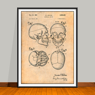 1960 Anatomical Skull Patent Print - Unframed