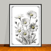 April Birth Flower Art Prints: Featuring the Daisy