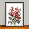 December Birth Flower Art Prints: Featuring the Holly Berry & Narcissus