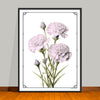 January Birth Flower Art Prints: Featuring the Carnation & Snow Drop