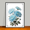 November Birth Flower Art Prints: Featuring the Chrysanthemum