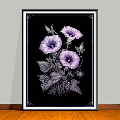 September Birth Flower Art Prints: Featuring the Morning Glory