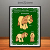 My Little Pony, Butterscotch, Colorized Patent Print Dark Green